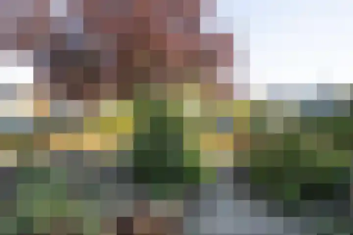 Fazantstraat 42 Brummen thumbnail 24