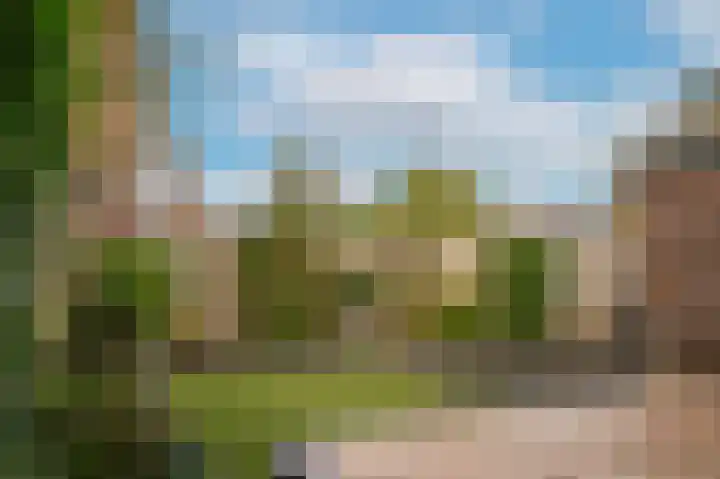 Fazantstraat 44 Zaltbommel thumbnail 32