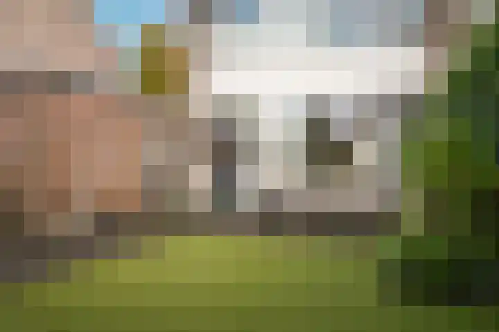 Fazantstraat 44 Zaltbommel thumbnail 33
