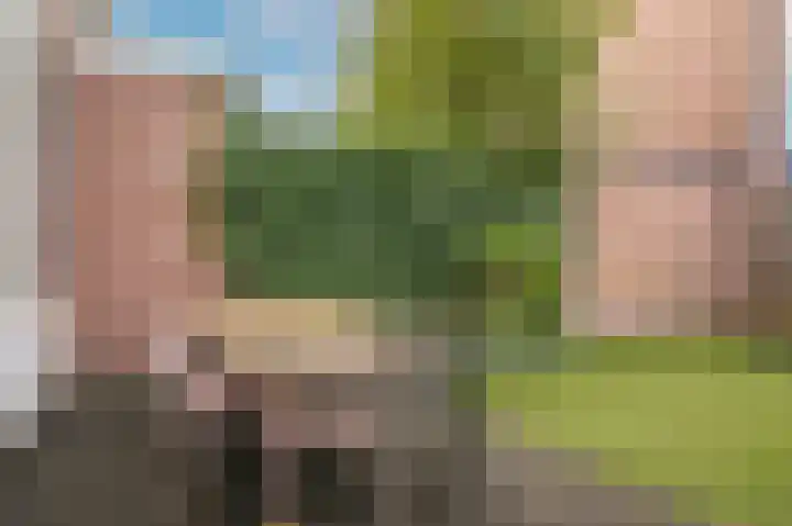 Fazantstraat 44 Zaltbommel thumbnail 35