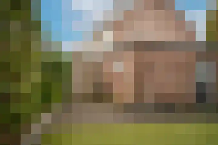 Fazantstraat 44 Zaltbommel thumbnail 38
