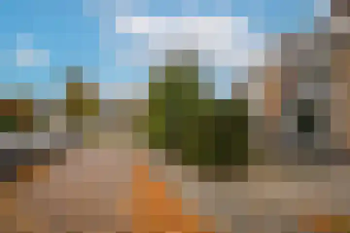 Fazantstraat 44 Zaltbommel thumbnail 41