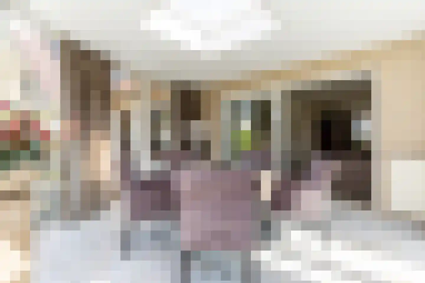 Fazantstraat 45 Numansdorp thumbnail 11