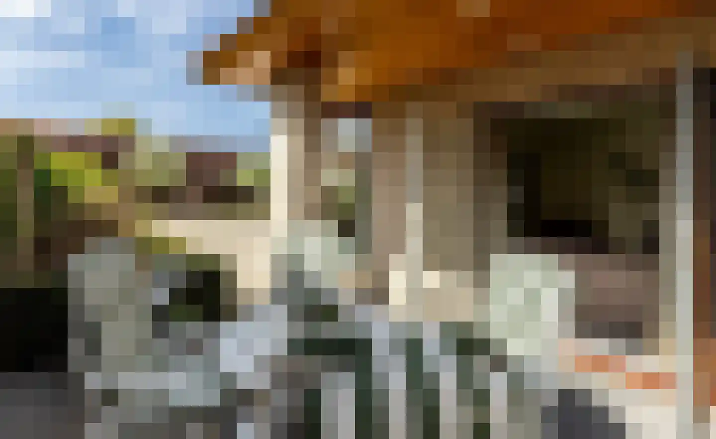Fazantstraat 45 Numansdorp thumbnail 15