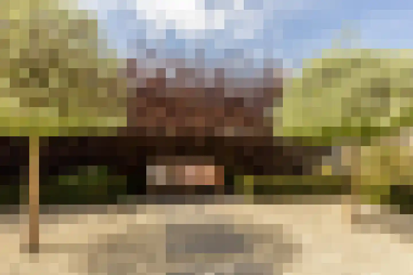 Fazantstraat 45 Numansdorp thumbnail 17