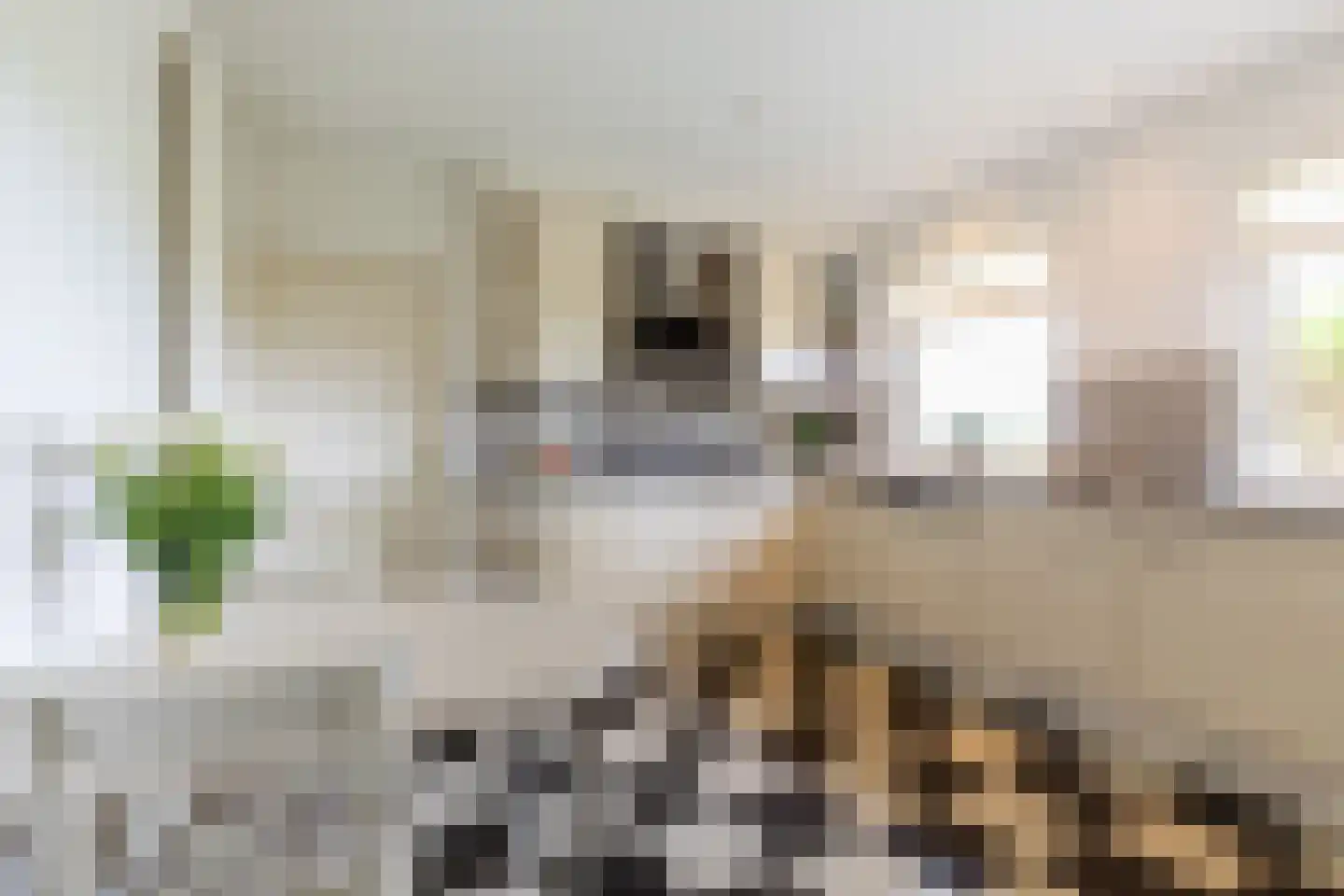 Fazantstraat 45 Numansdorp thumbnail 18