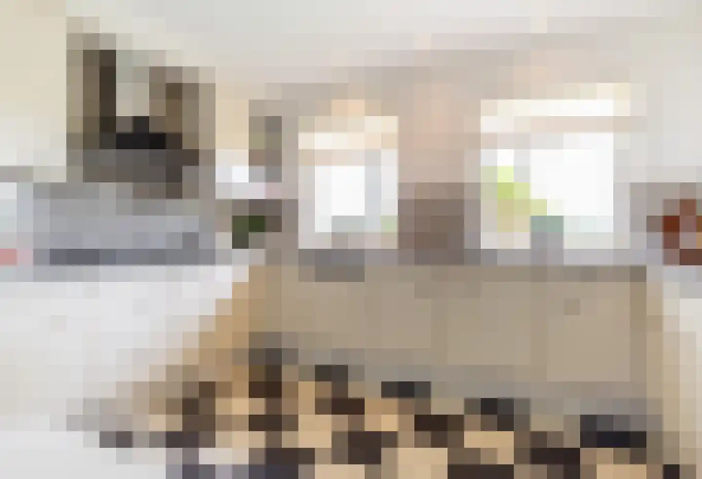 Fazantstraat 45 Numansdorp thumbnail 19