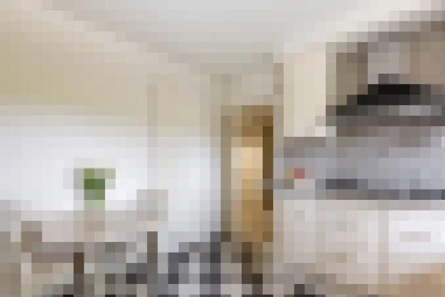Fazantstraat 45 Numansdorp thumbnail 20