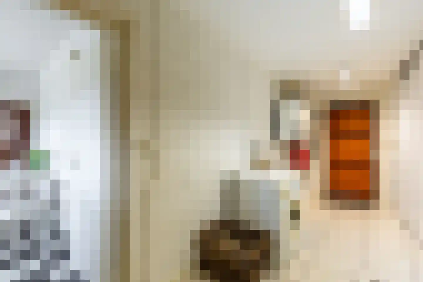 Fazantstraat 45 Numansdorp thumbnail 21