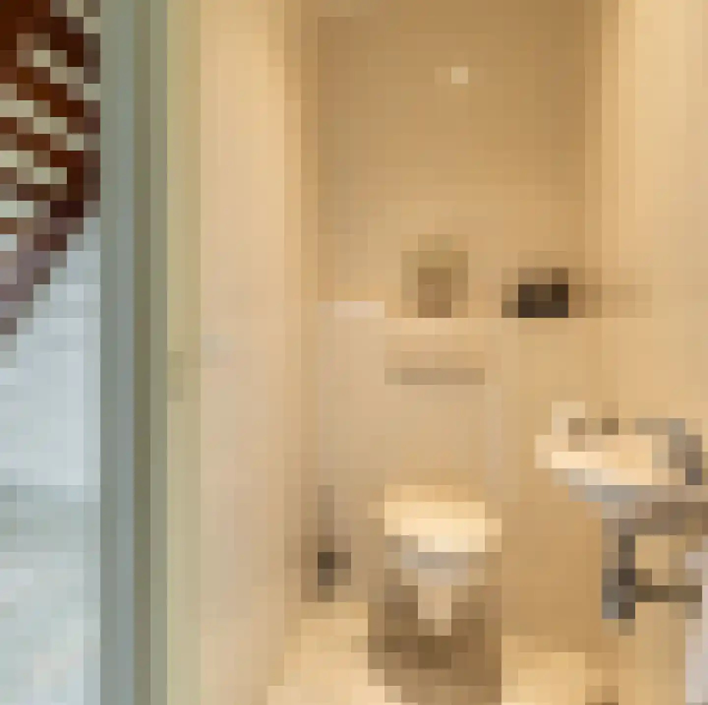Fazantstraat 45 Numansdorp thumbnail 27