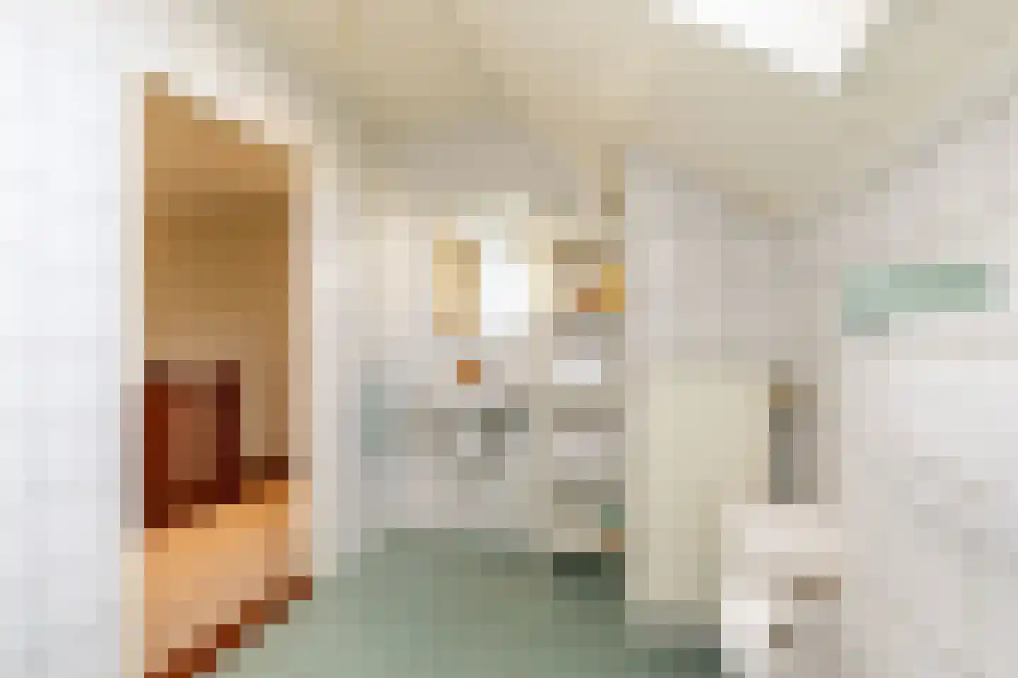 Fazantstraat 45 Numansdorp thumbnail 33