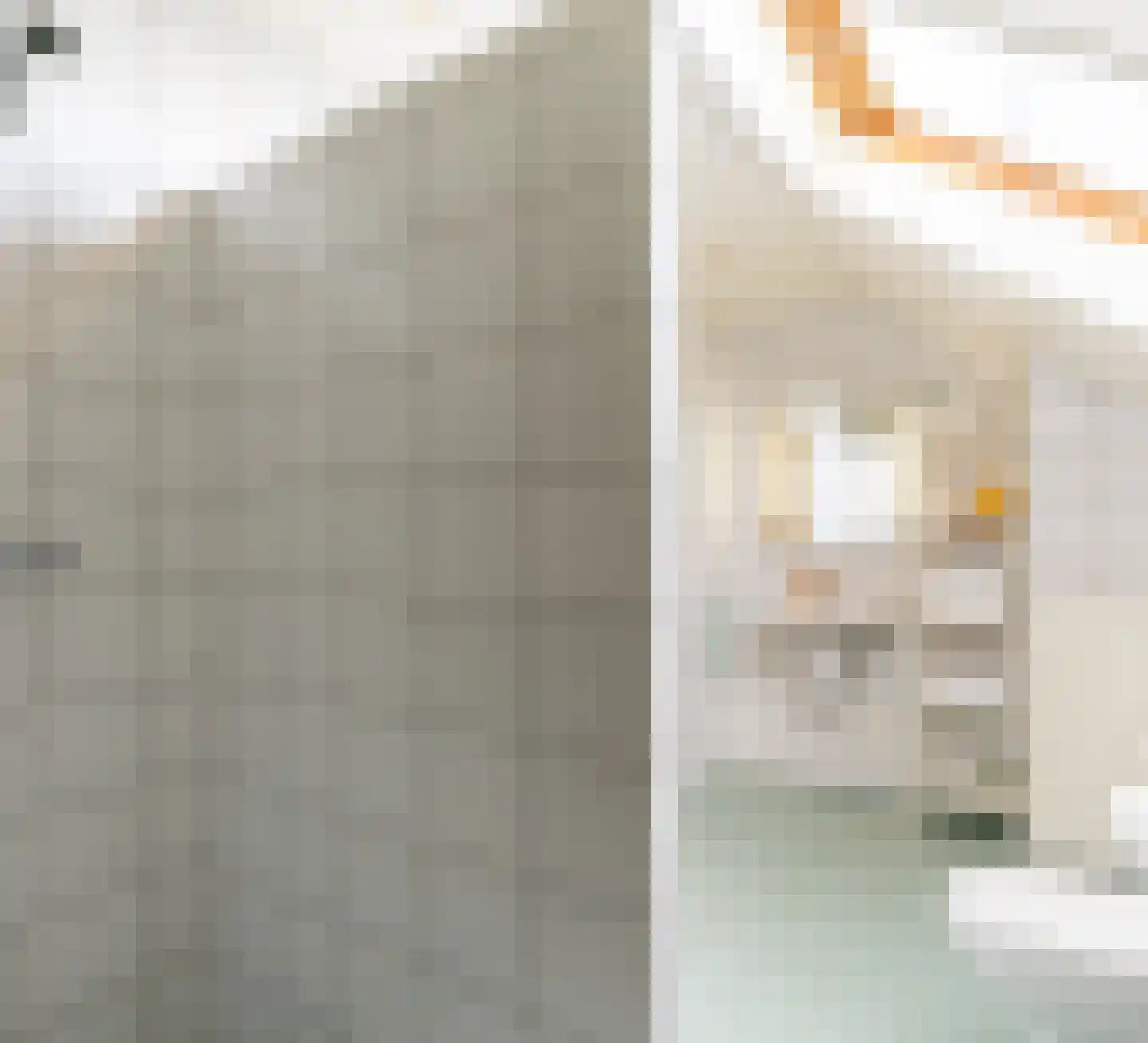 Fazantstraat 45 Numansdorp thumbnail 34