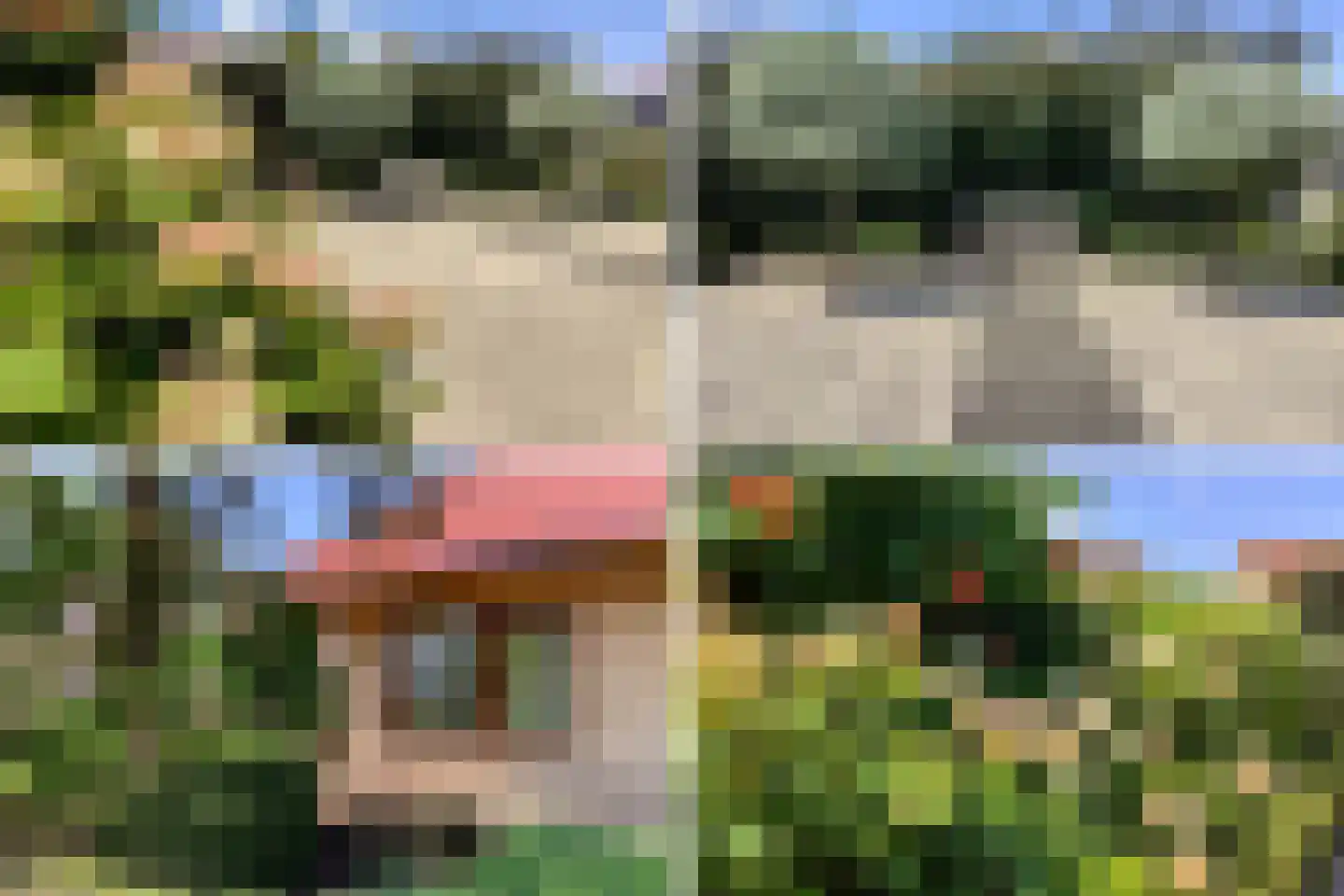 Fazantstraat 45 Numansdorp thumbnail 41