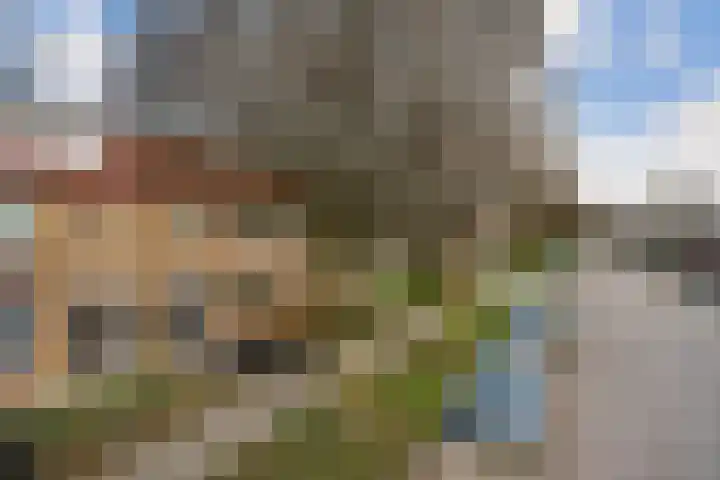 Fazantstraat 46 Wijchen thumbnail 27