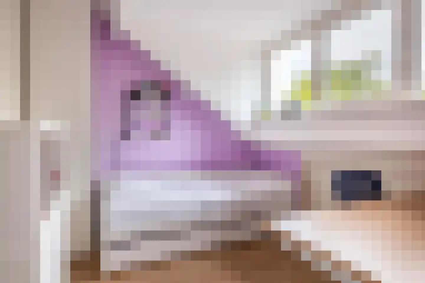 Fazantstraat 48 Sommelsdijk thumbnail 14