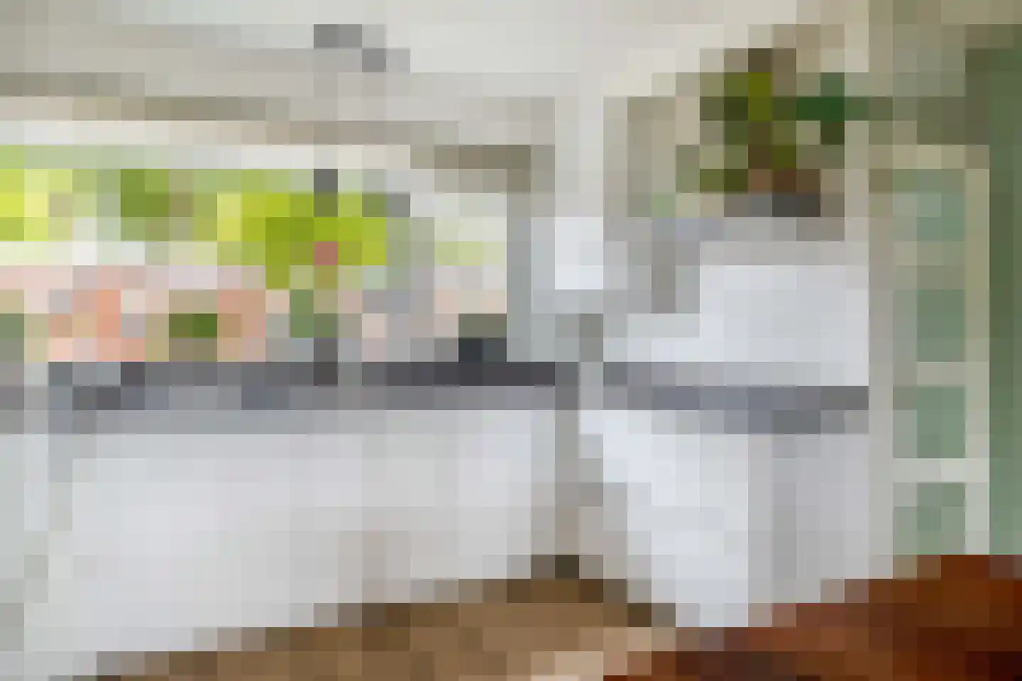 Fazantstraat 48 Sommelsdijk thumbnail 20
