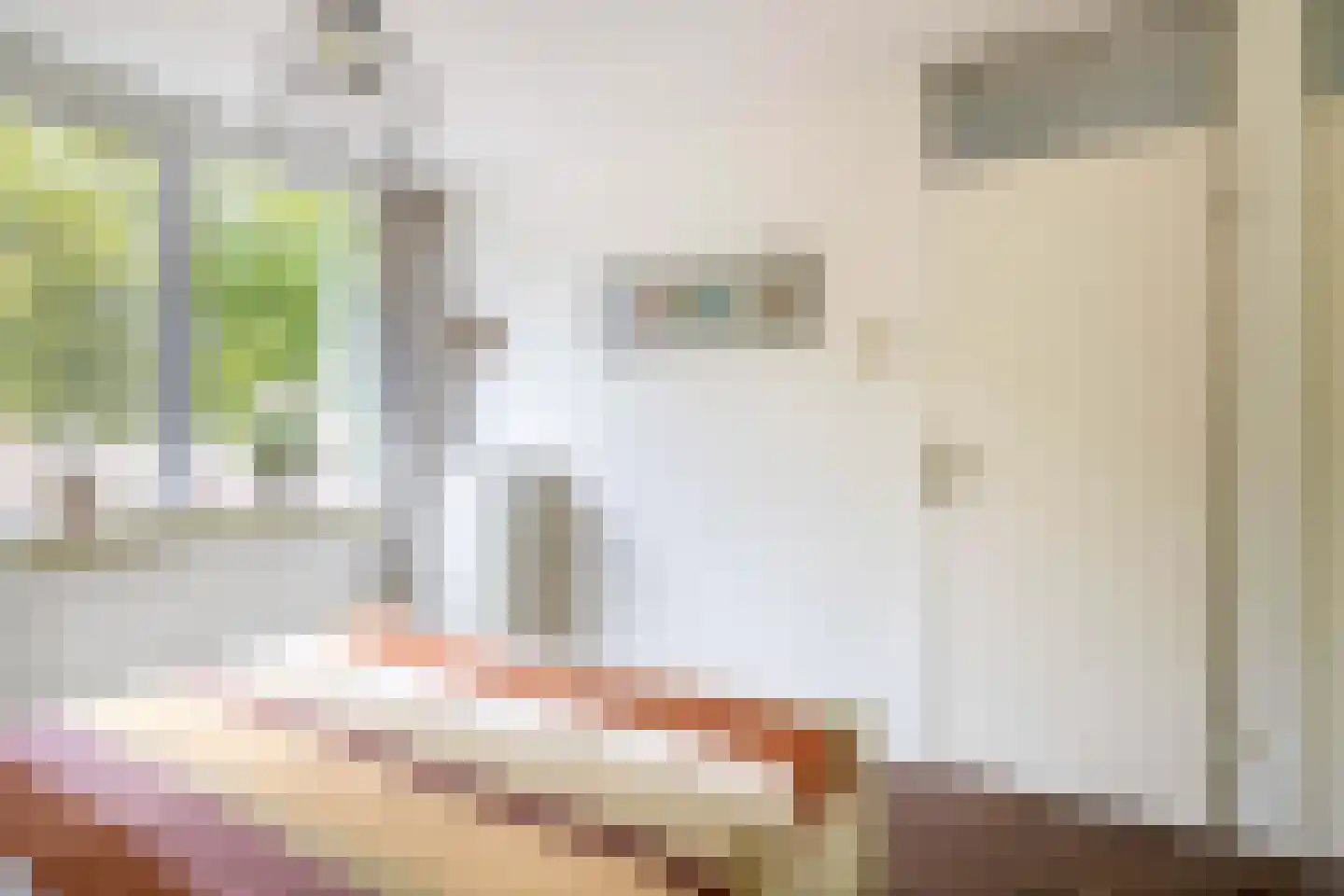 Fazantstraat 48 Sommelsdijk thumbnail 22