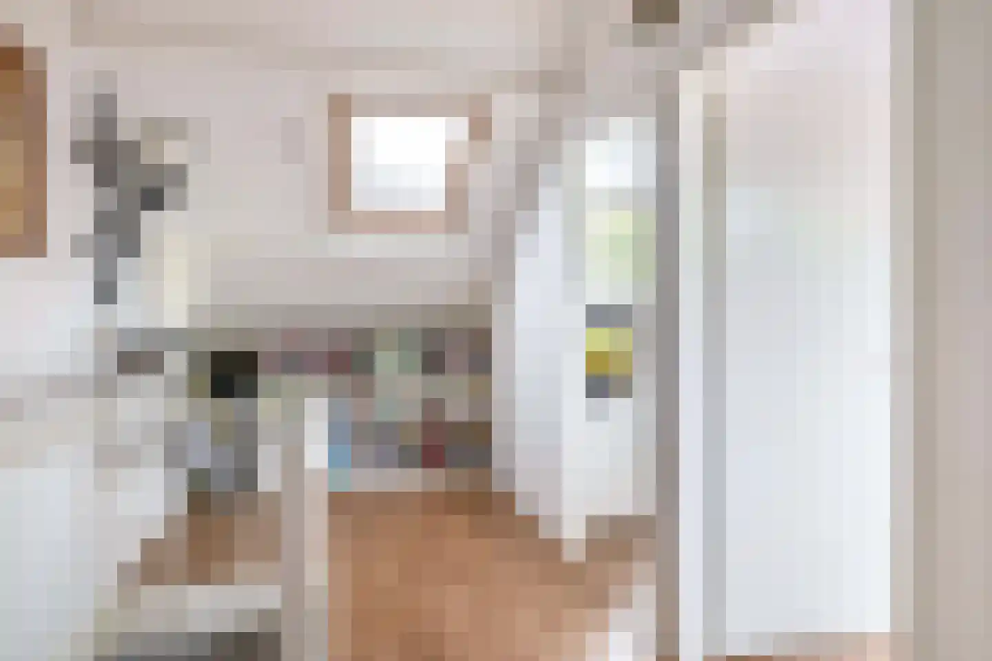 Fazantstraat 48 Sommelsdijk thumbnail 25