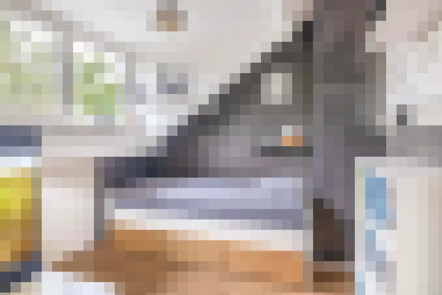 Fazantstraat 48 Sommelsdijk thumbnail 26