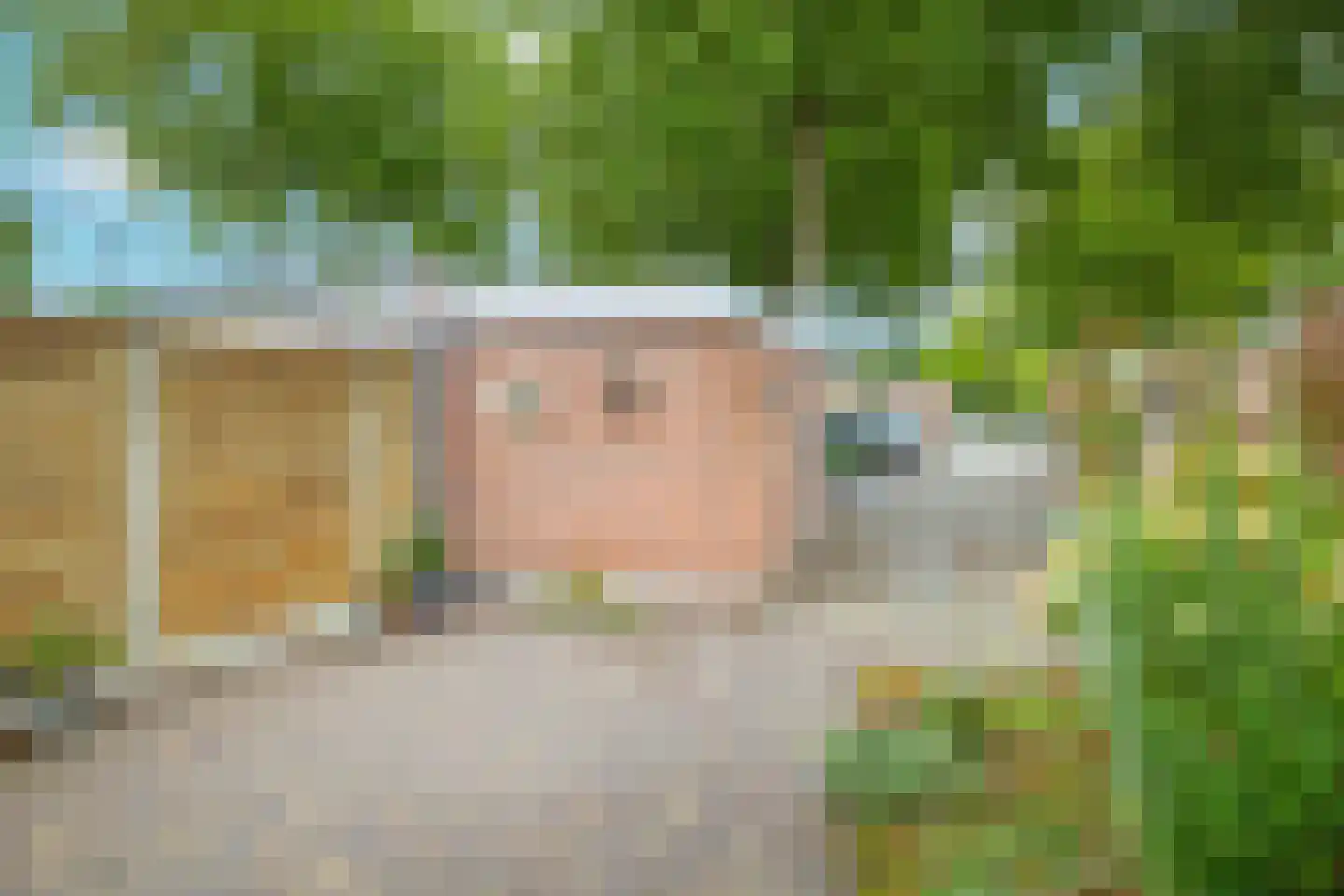 Fazantstraat 48 Sommelsdijk thumbnail 27
