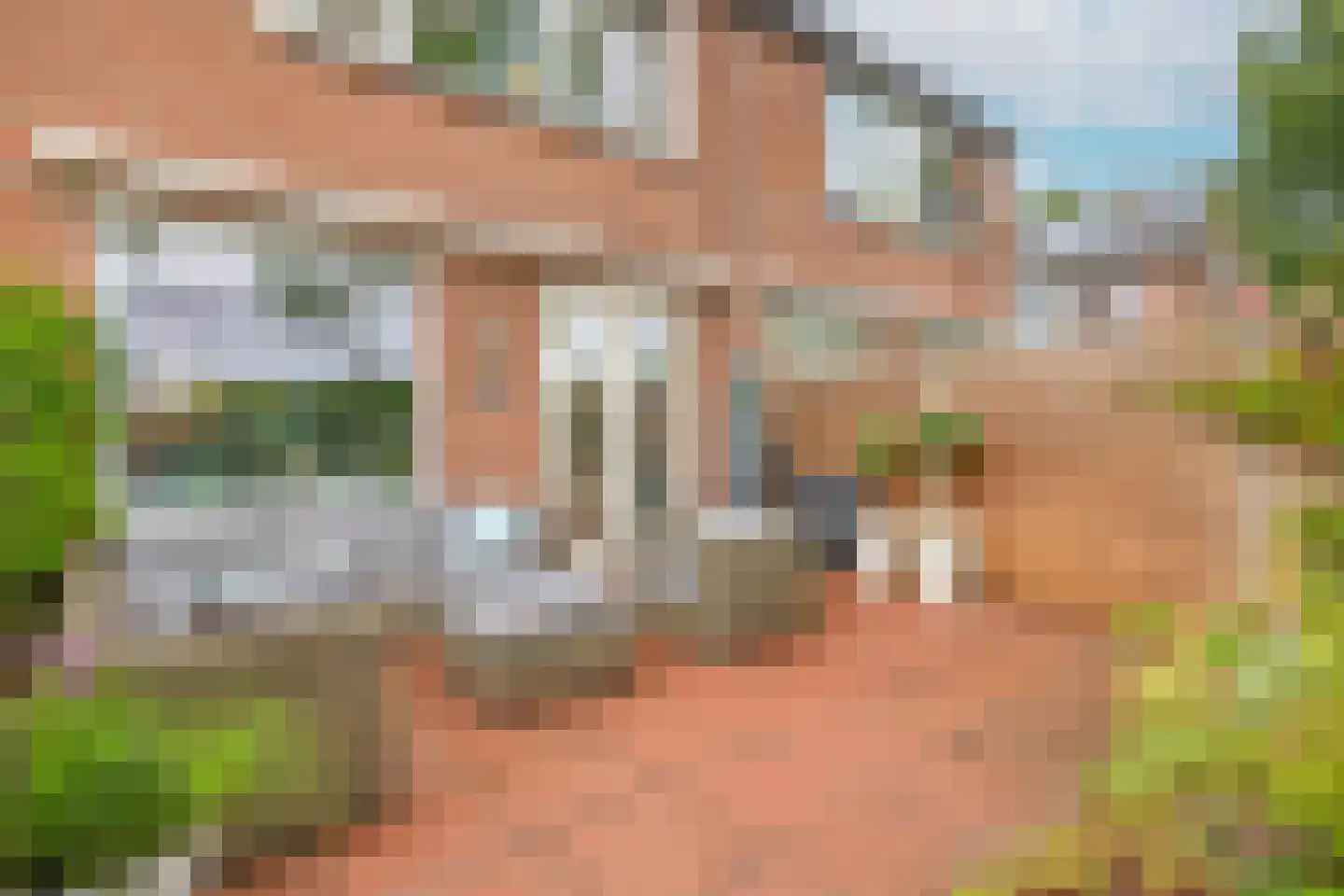 Fazantstraat 48 Sommelsdijk thumbnail 29