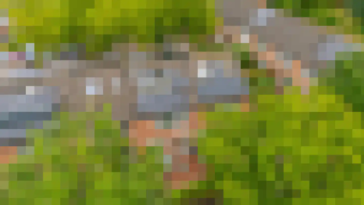 Fazantstraat 48 Sommelsdijk thumbnail 30