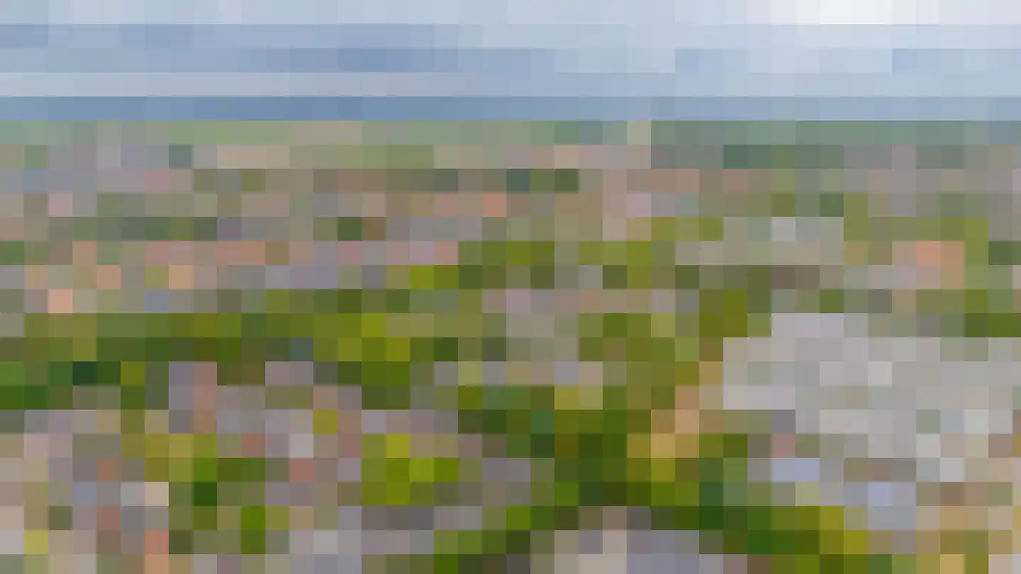 Fazantstraat 48 Sommelsdijk thumbnail 31