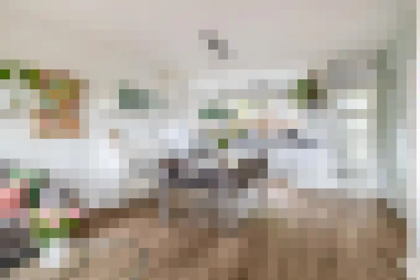Fazantstraat 48 Sommelsdijk thumbnail 4