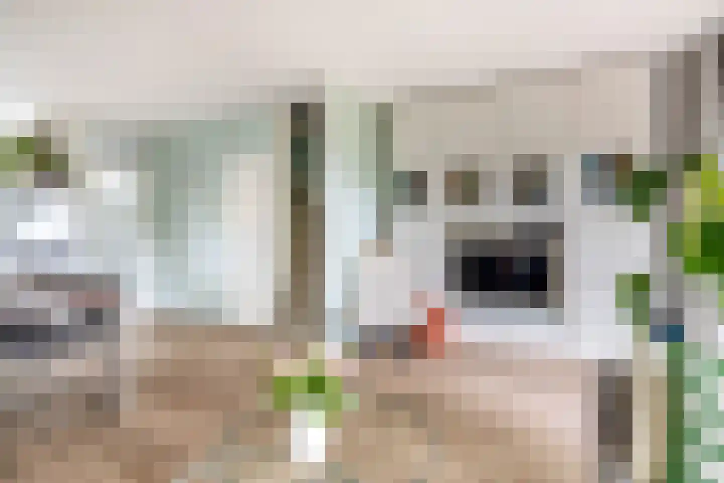 Fazantstraat 48 Sommelsdijk thumbnail 7