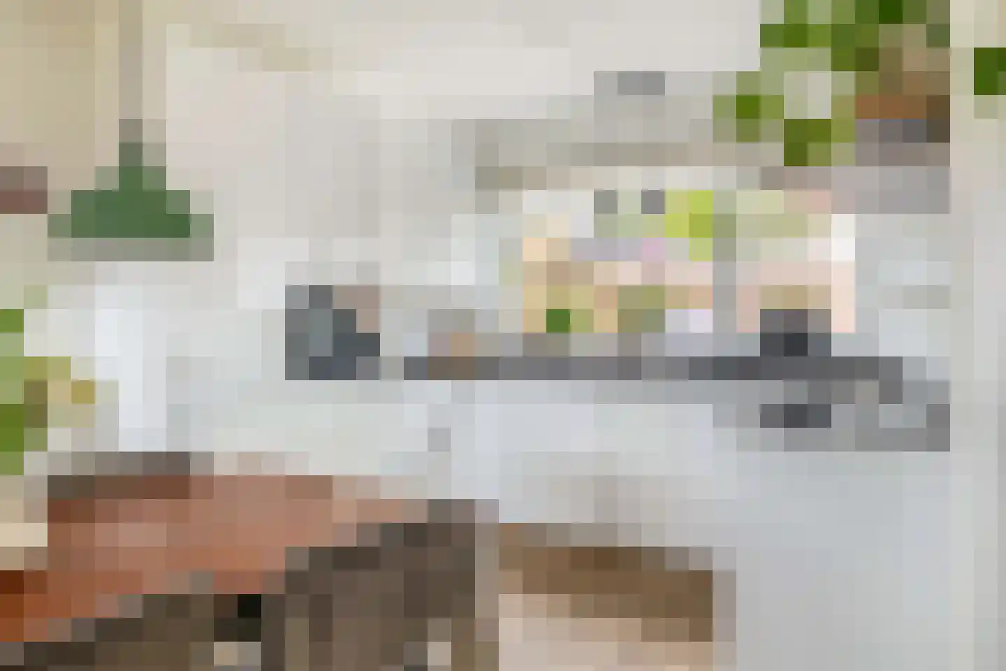 Fazantstraat 48 Sommelsdijk thumbnail 8