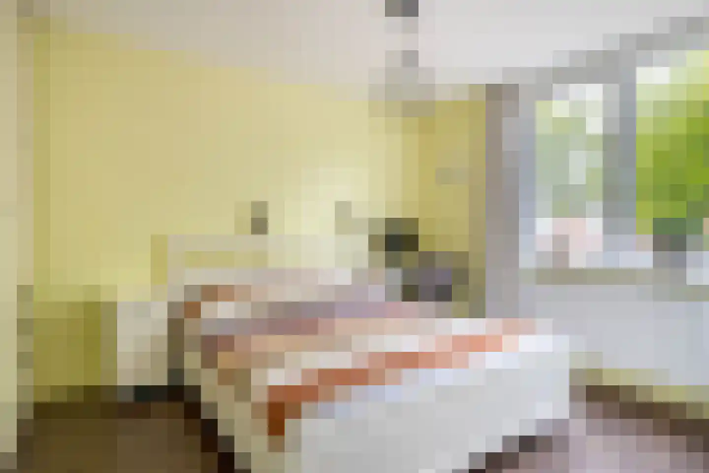 Fazantstraat 48 Sommelsdijk thumbnail 9