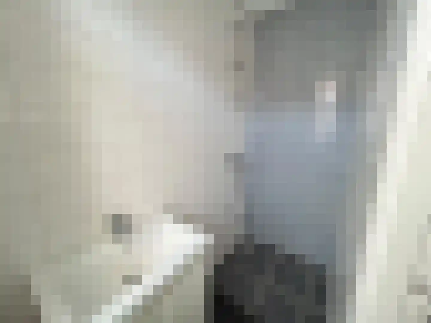 Fazantstraat 49 B Rotterdam thumbnail 5