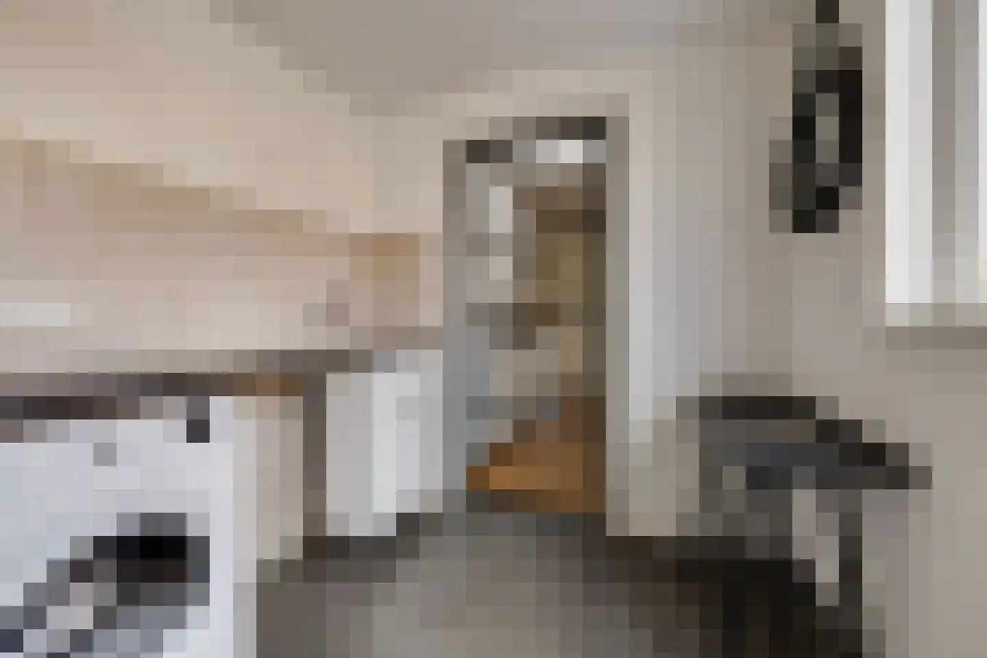 Fazantstraat 5 Vaassen thumbnail 11