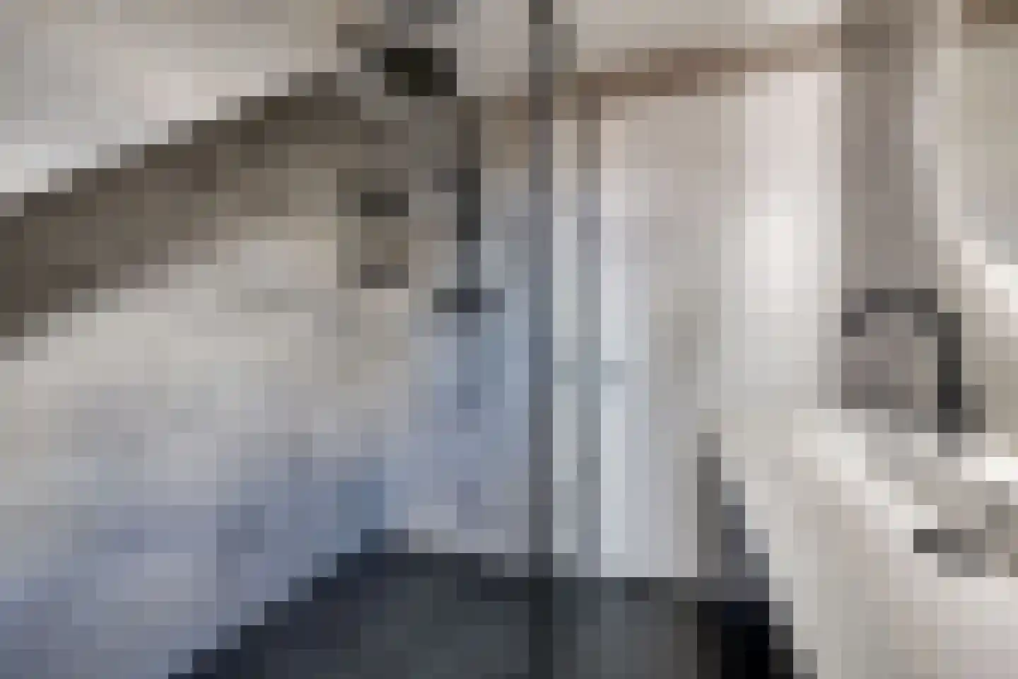 Fazantstraat 5 Vaassen thumbnail 19