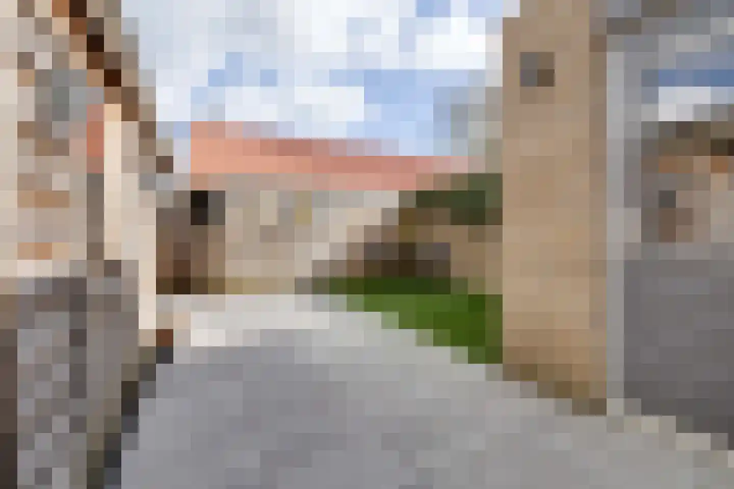 Fazantstraat 5 Vaassen thumbnail 26
