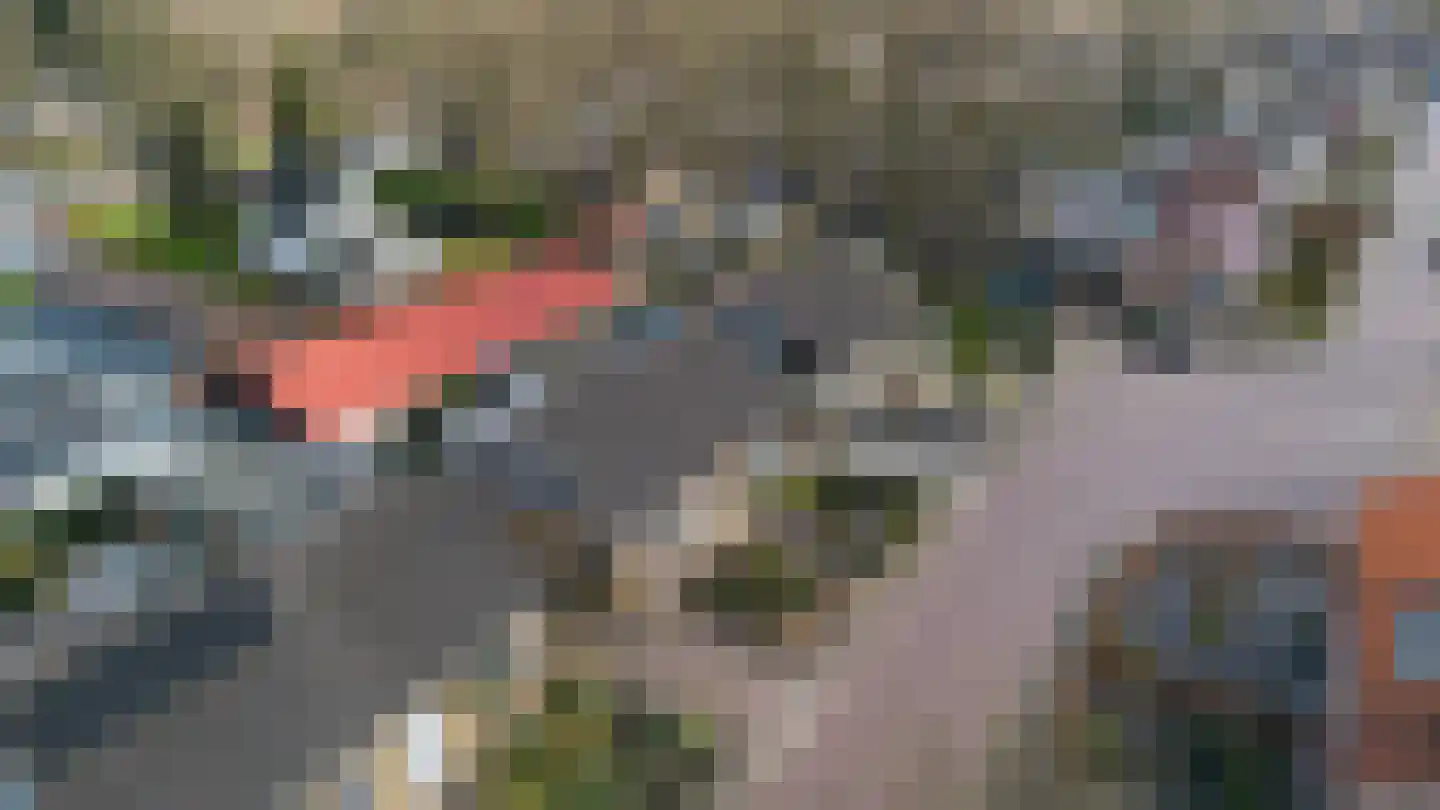 Fazantstraat 5 Vaassen thumbnail 33