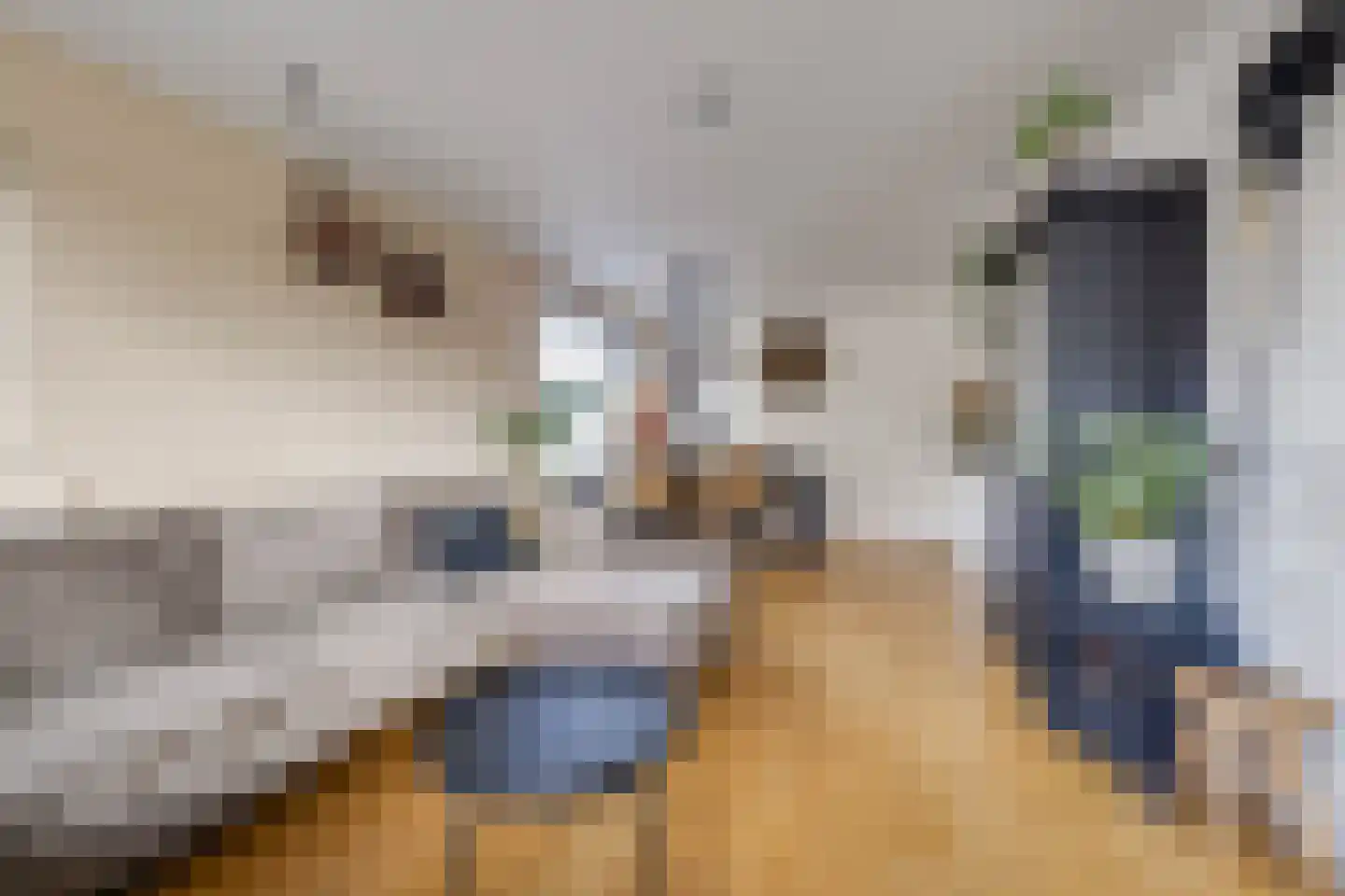 Fazantstraat 5 Vaassen thumbnail 5