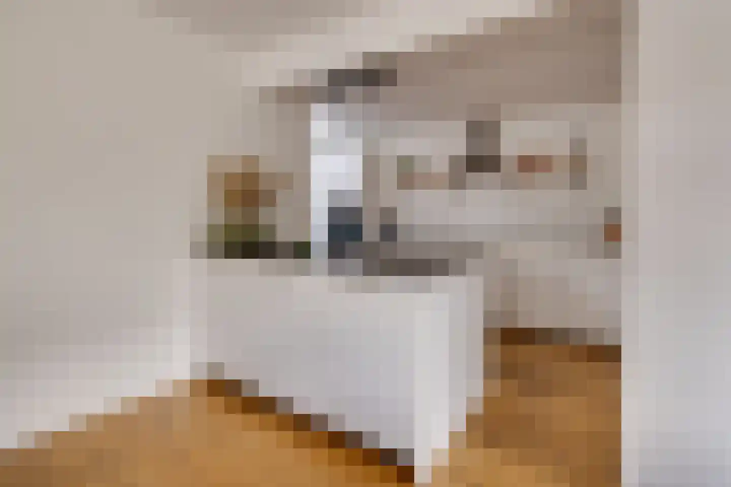 Fazantstraat 5 Vaassen thumbnail 8