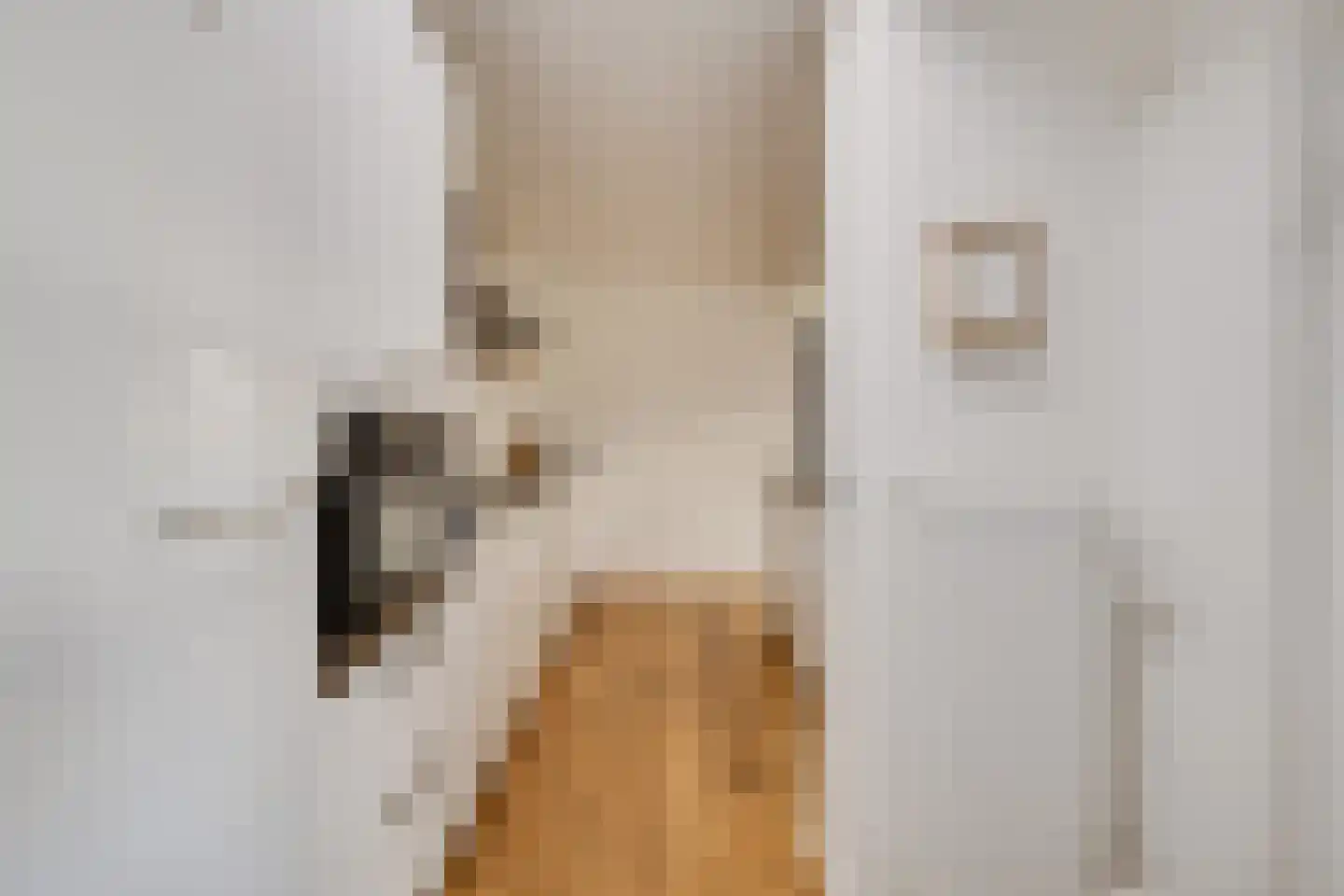 Fazantstraat 5 Vaassen thumbnail 9