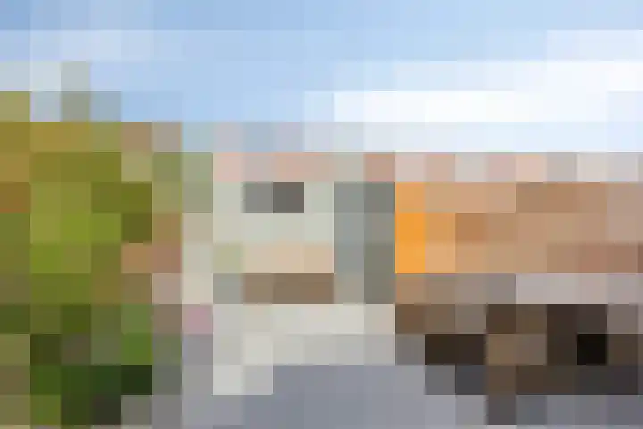 Fazantstraat 52 Wijchen thumbnail 25