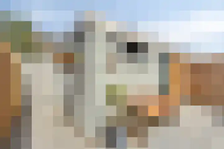 Fazantstraat 52 Wijchen thumbnail 27