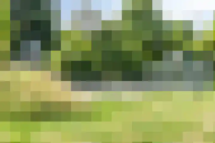 Fazantstraat 52 Wijchen thumbnail 32
