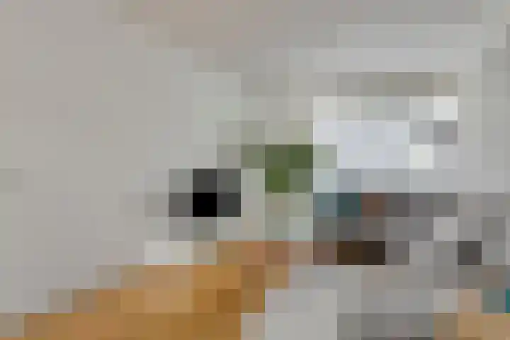 Fazantstraat 52 Wijchen thumbnail 4