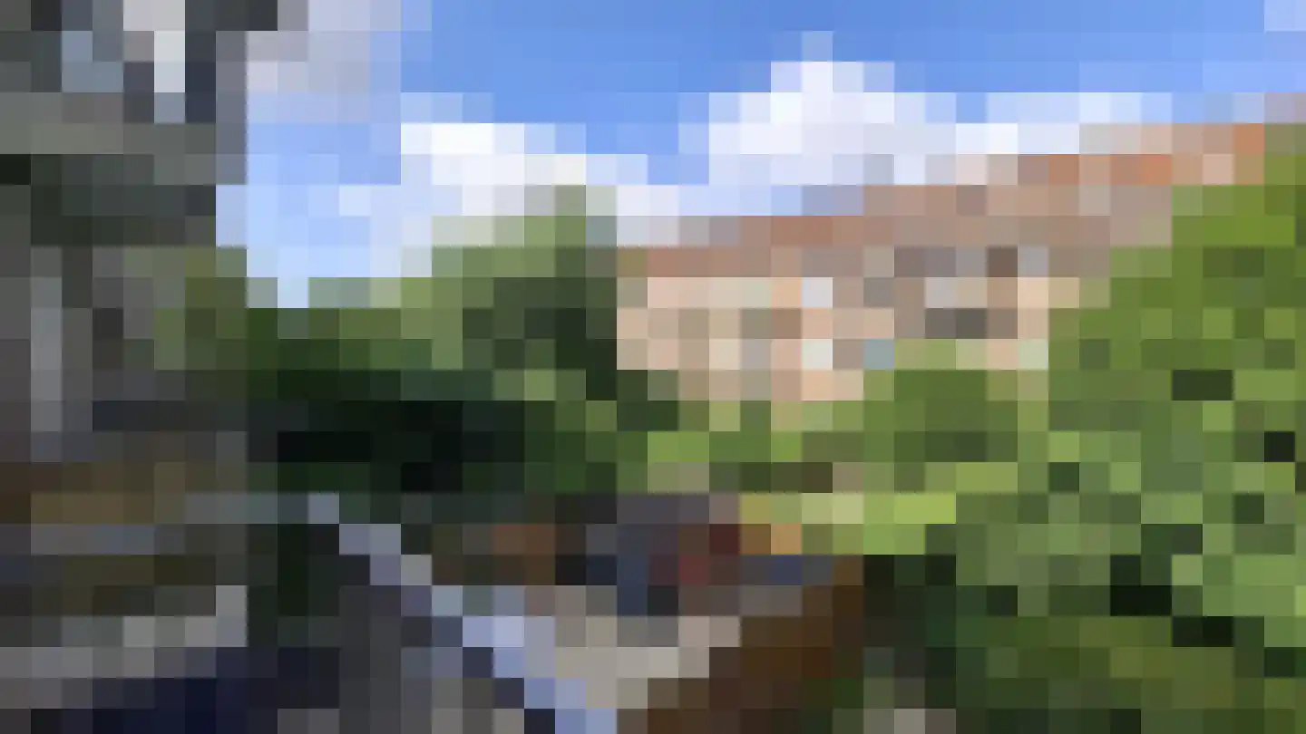 Fazantstraat 59 A Rotterdam thumbnail 5