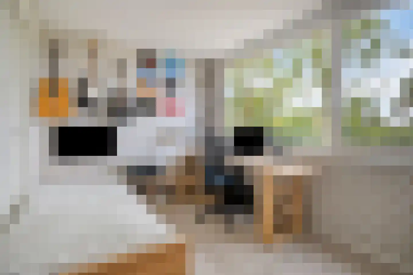 Fazantstraat 6 Beek thumbnail 25