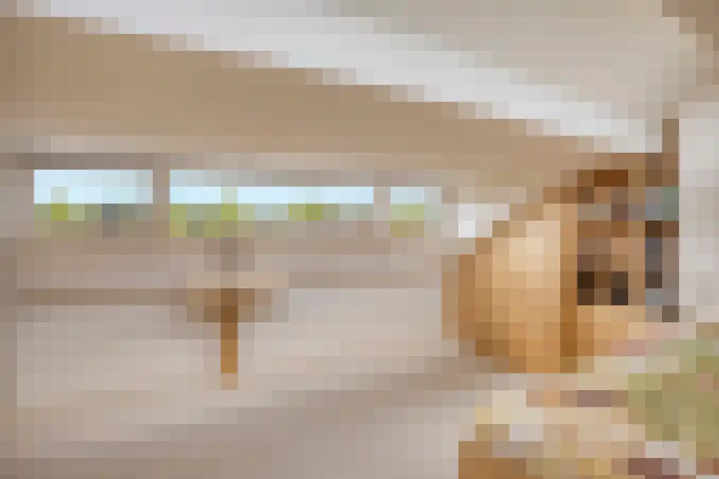 Fazantstraat 6 Beek thumbnail 29