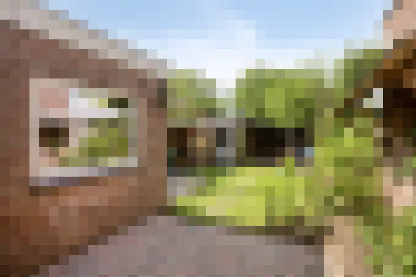 Fazantstraat 6 Beek thumbnail 32