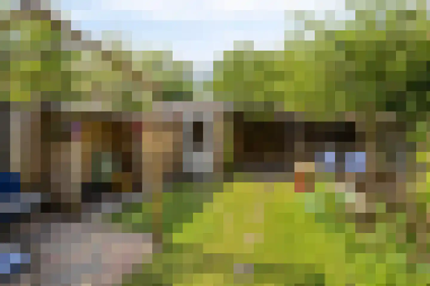 Fazantstraat 6 Beek thumbnail 33