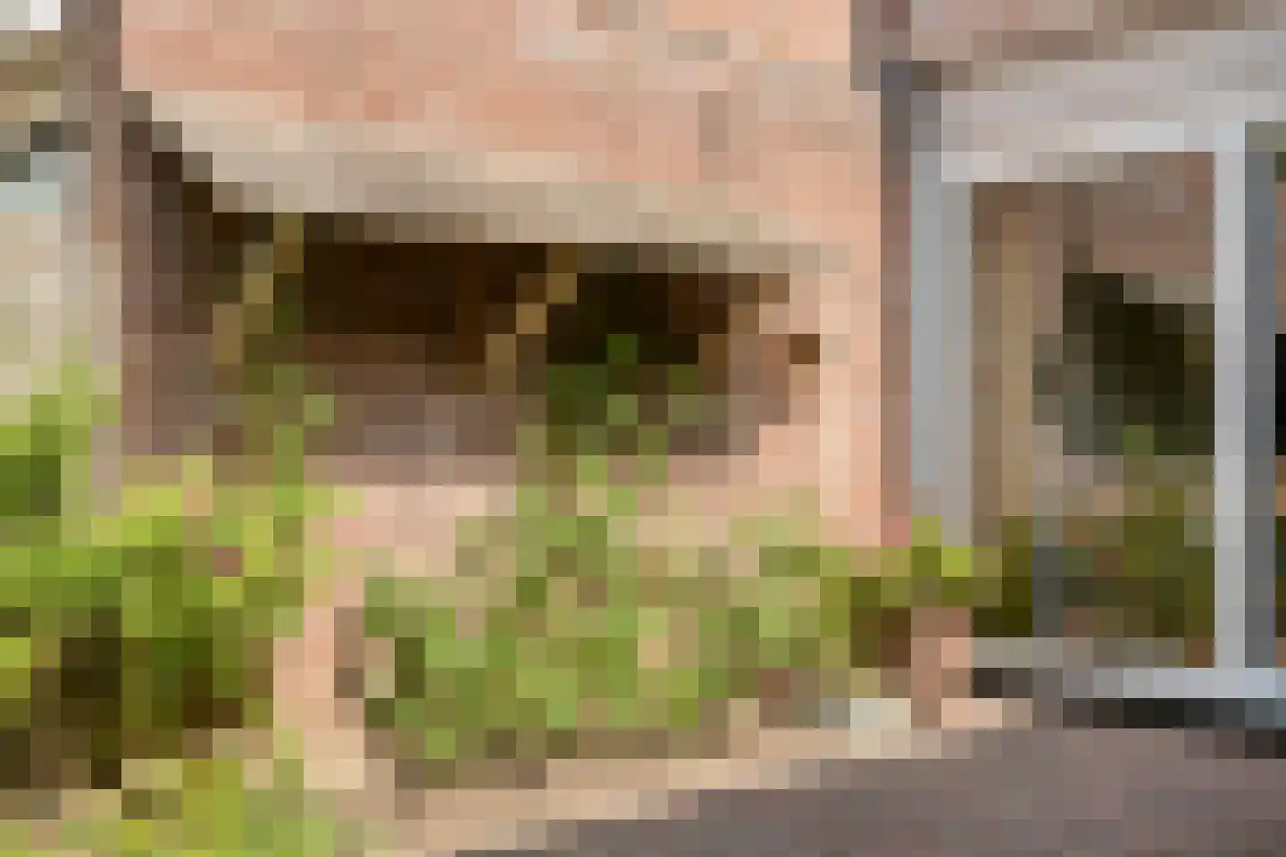 Fazantstraat 6 Beek thumbnail 34