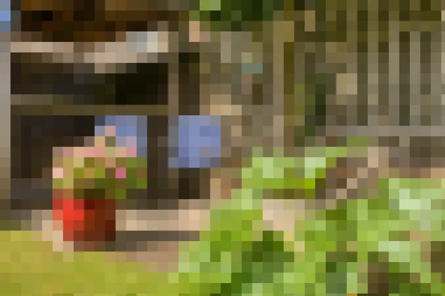 Fazantstraat 6 Beek thumbnail 35